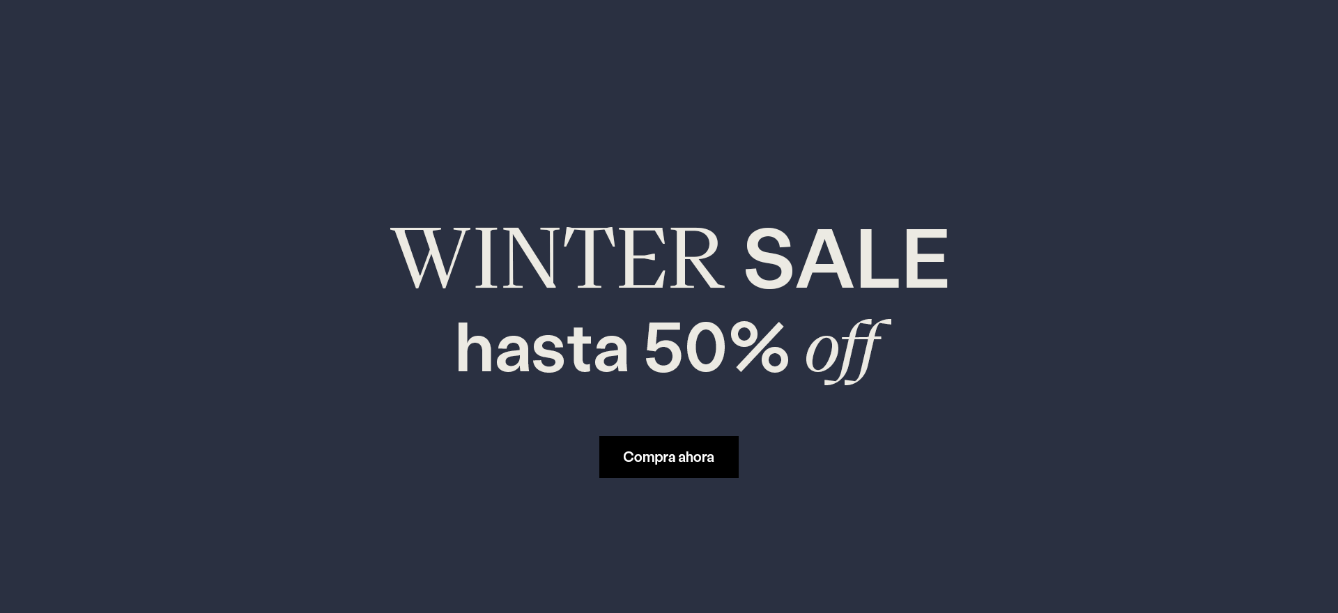 WINTER SALE Slide background
