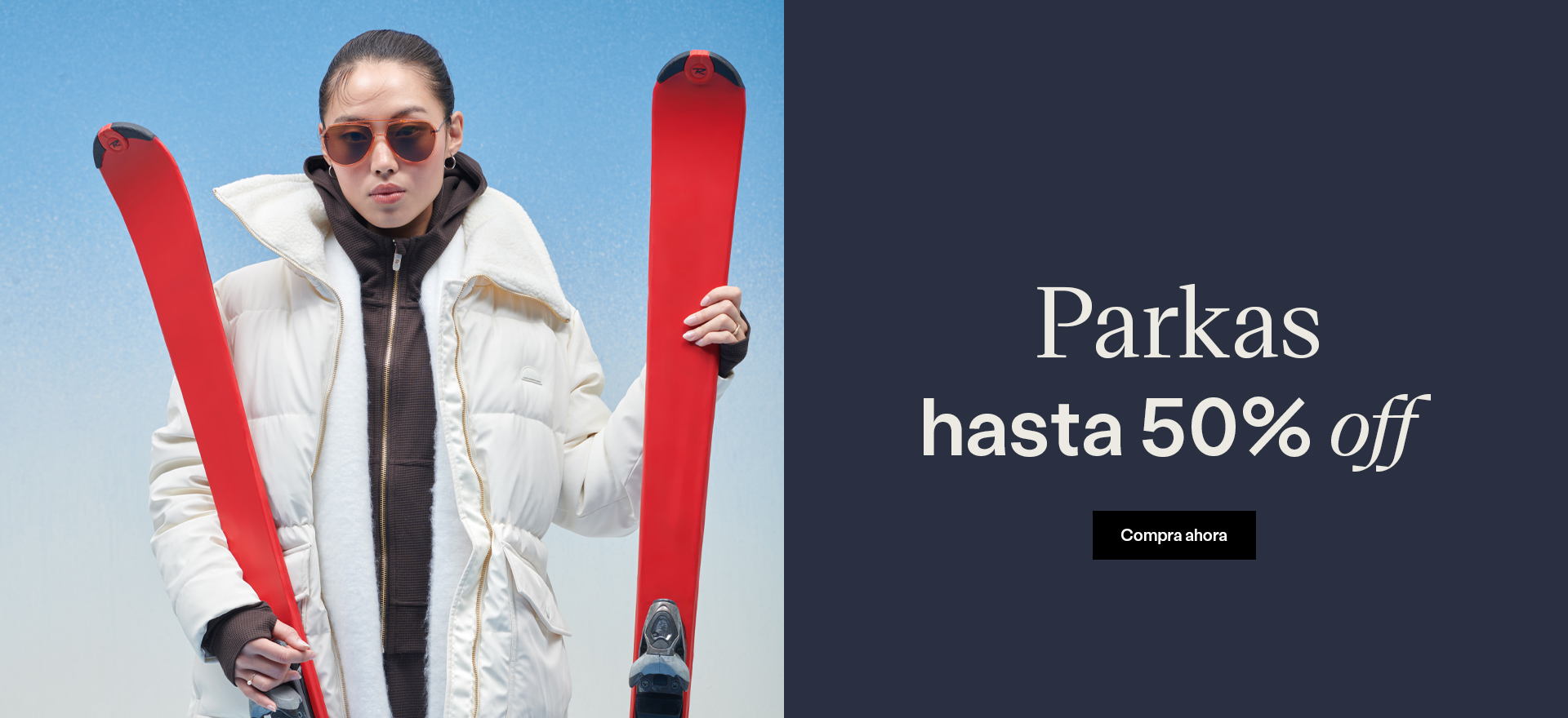 PARKAS2 Slide background