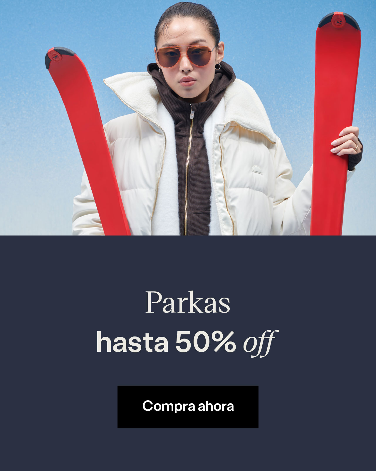 PARKAS2 Slide background
